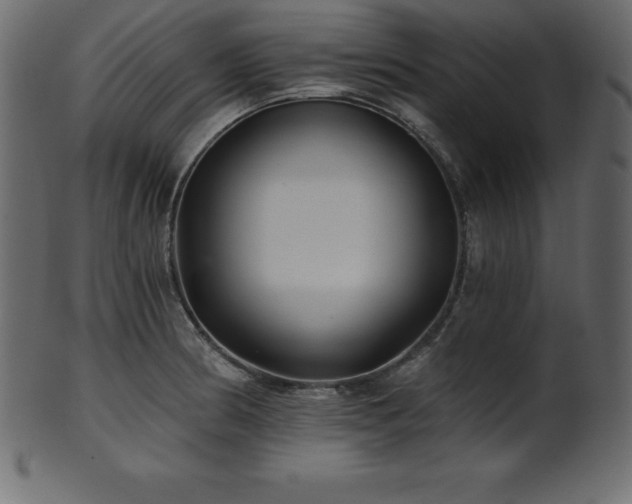 X0000102021186200807181319