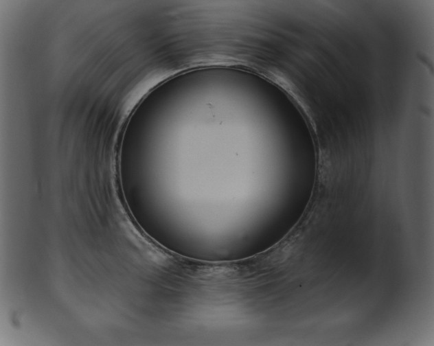 X0000102021187200807181319