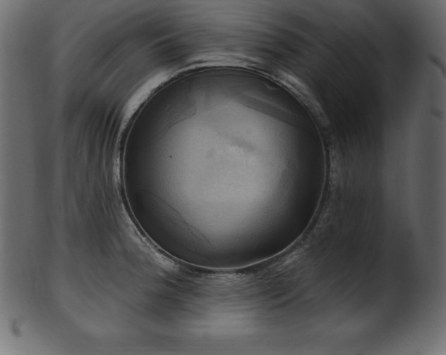 X0000102021188200807181319