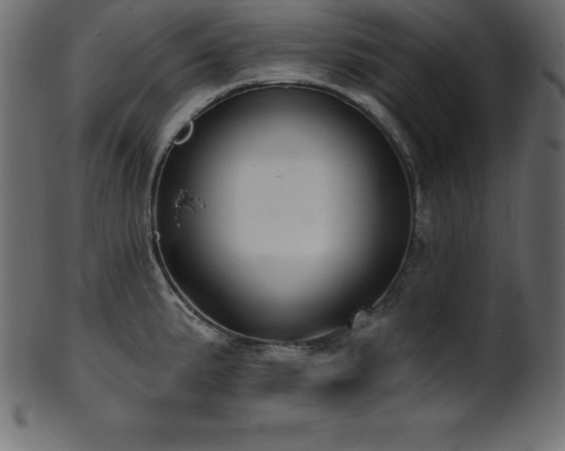 X0000102021191200807181319
