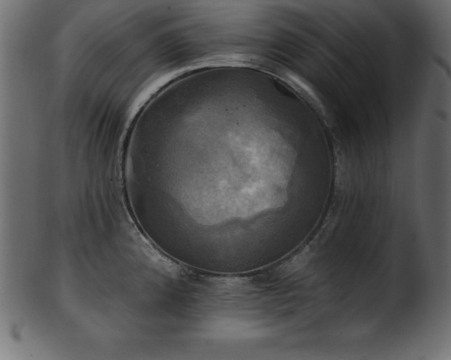 X0000102021192200807181319