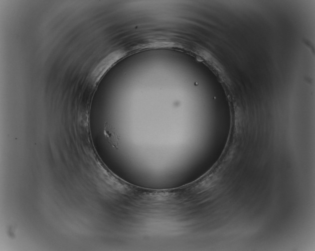 X0000102021193200807181319
