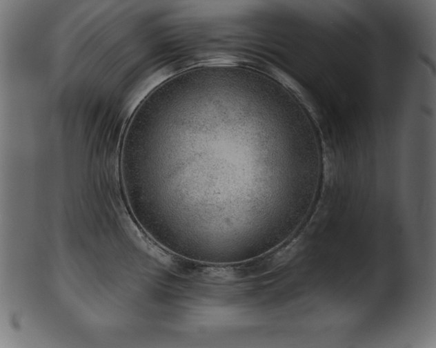 X0000102021194200807181319