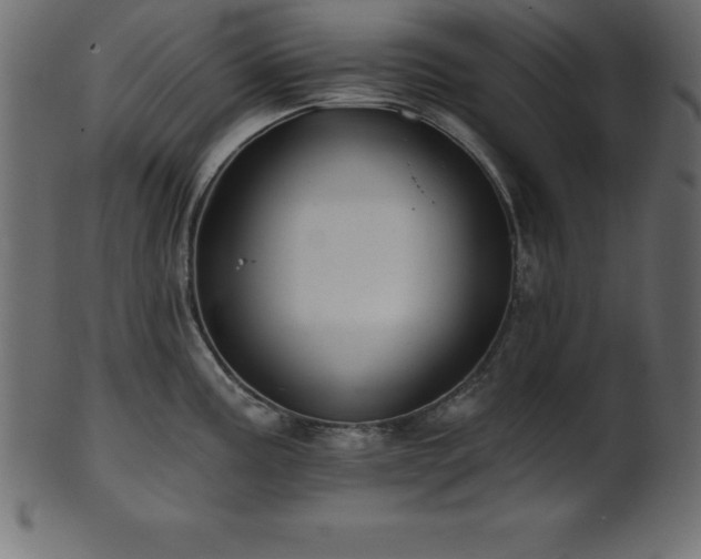 X0000102021195200807181319