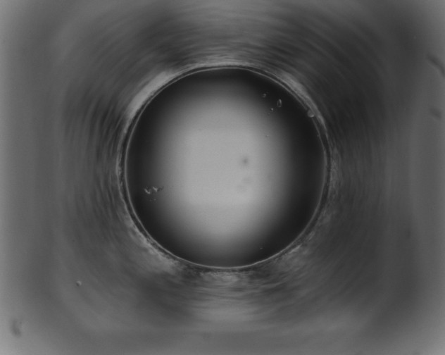 X0000102021197200807181319