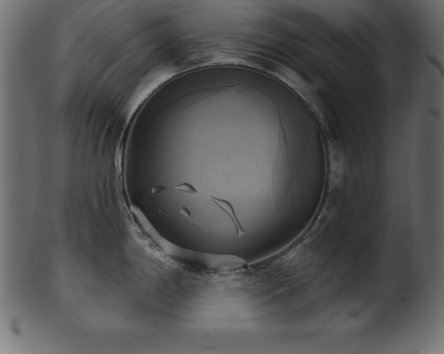 X0000102021198200807181319