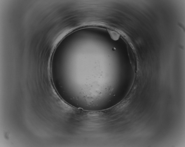 X0000102021199200807181319