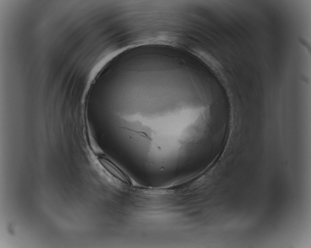 X0000102021200200807181319