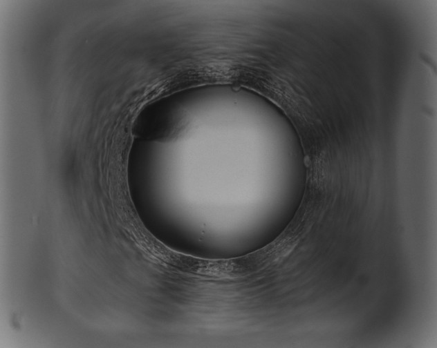 X0000102021201200807181318