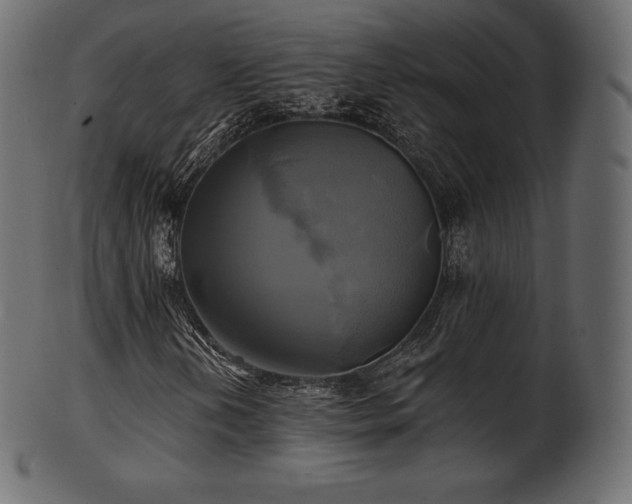 X0000102021202200807181318