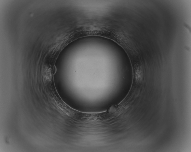 X0000102021204200807181318