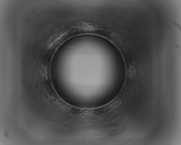 X0000102021205200807181318