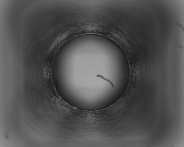 X0000102021207200807181318