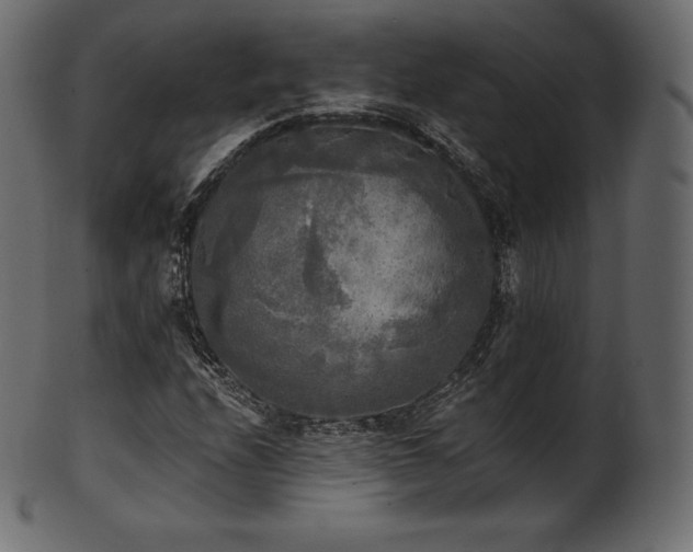 X0000102021208200807181318