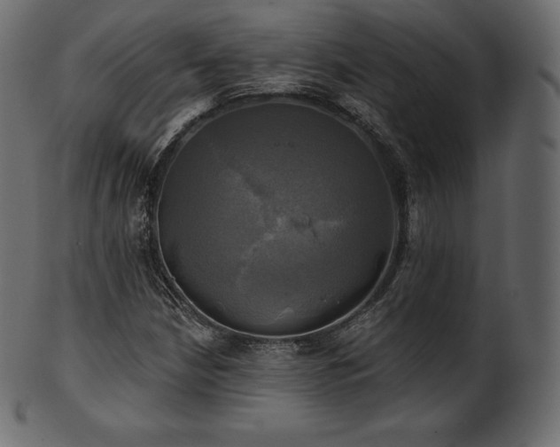 X0000102021210200807181318