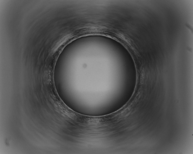X0000102021211200807181318