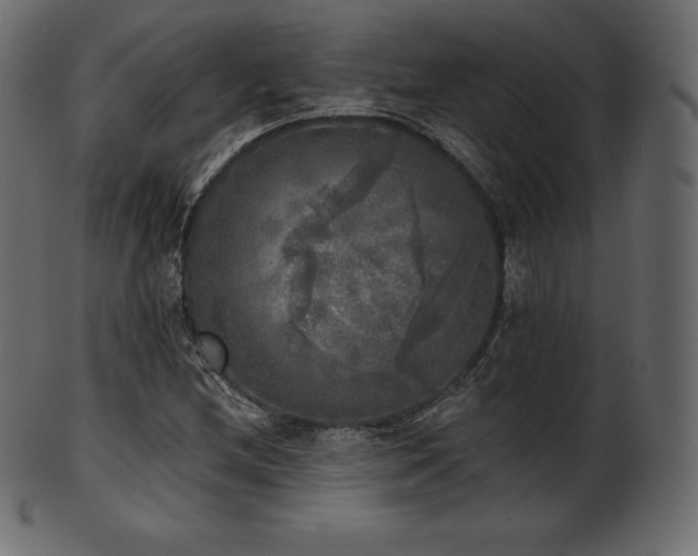 X0000102021212200807181318