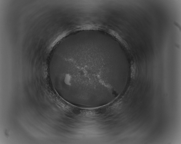 X0000102021213200807181318