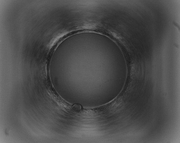 X0000102021214200807181318