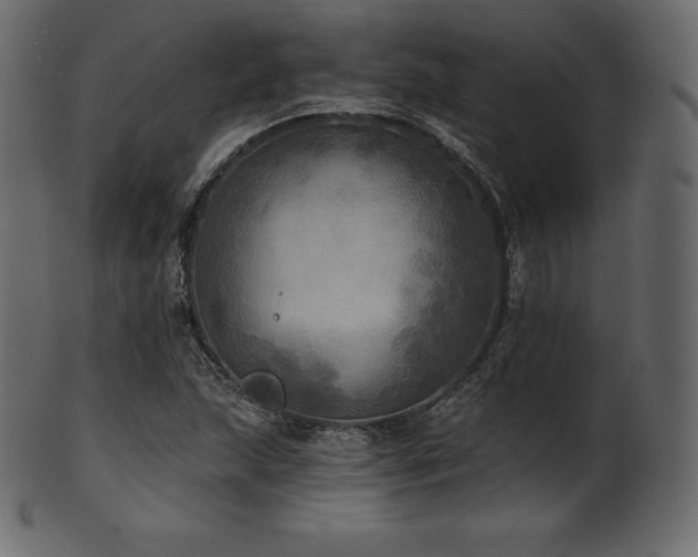 X0000102021215200807181318