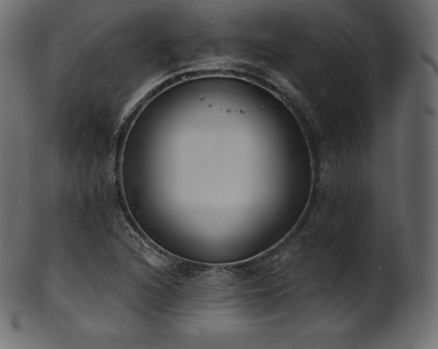 X0000102021216200807181318
