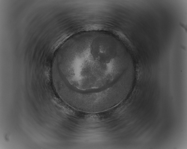 X0000102021217200807181318