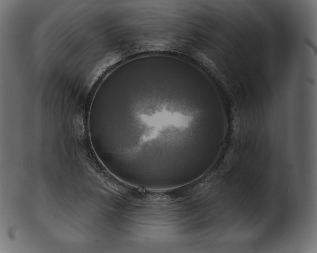 X0000102021218200807181318