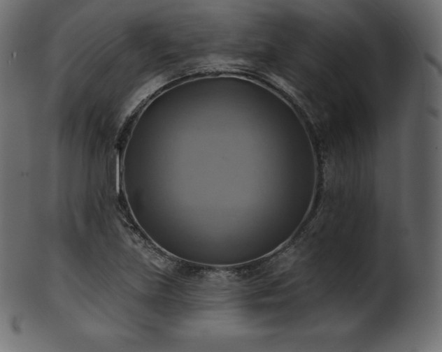 X0000102021219200807181318