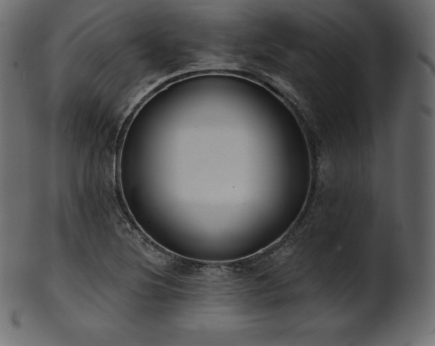 X0000102021220200807181318