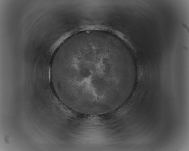 X0000102021221200807181318