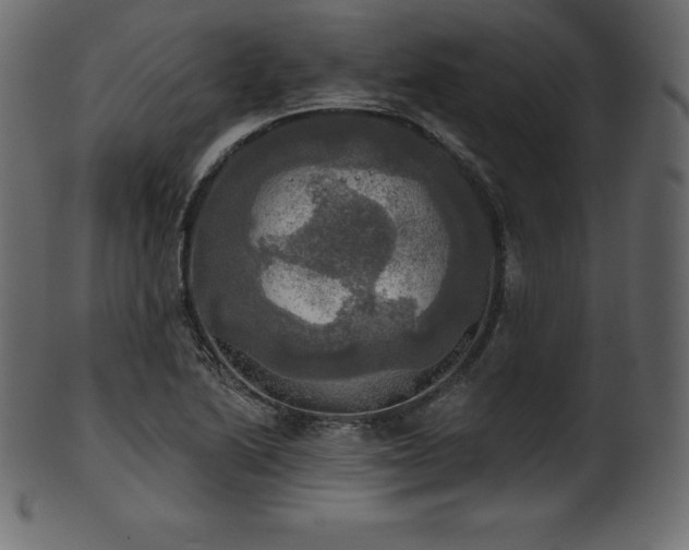 X0000102021222200807181318