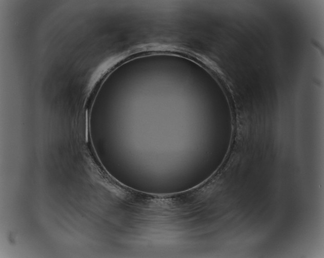 X0000102021223200807181318