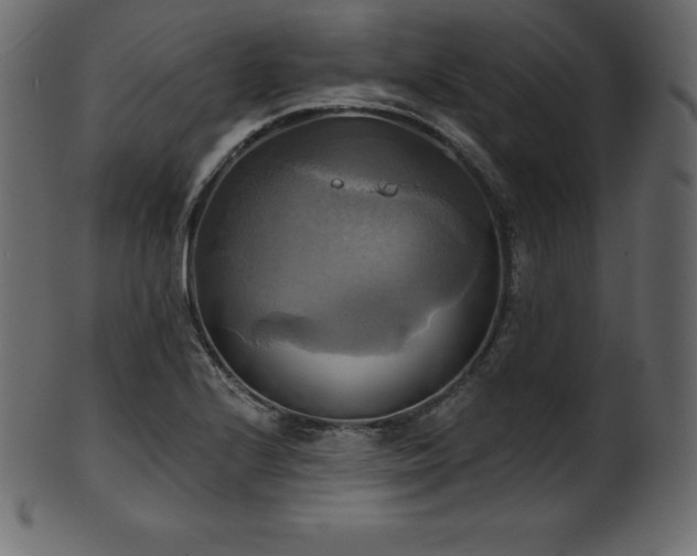 X0000102021224200807181318