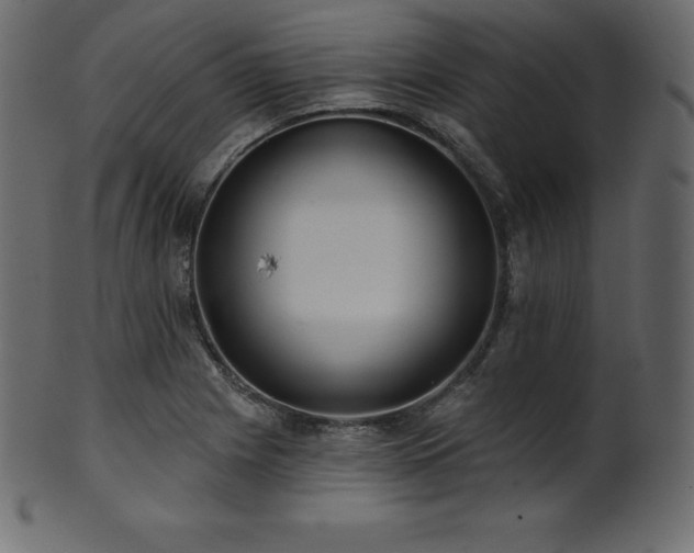 X0000102021225200807181318
