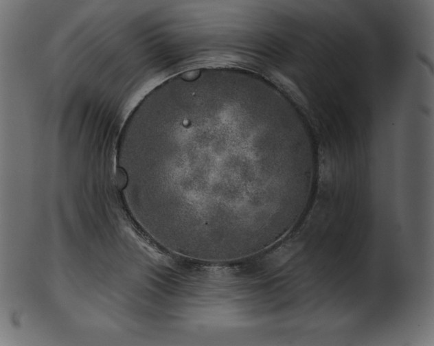 X0000102021226200807181318