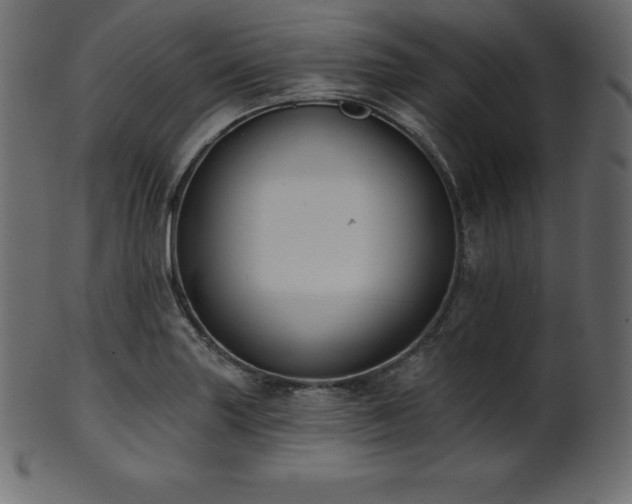 X0000102021227200807181318