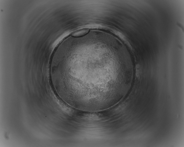 X0000102021229200807181318