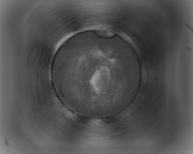 X0000102021230200807181319