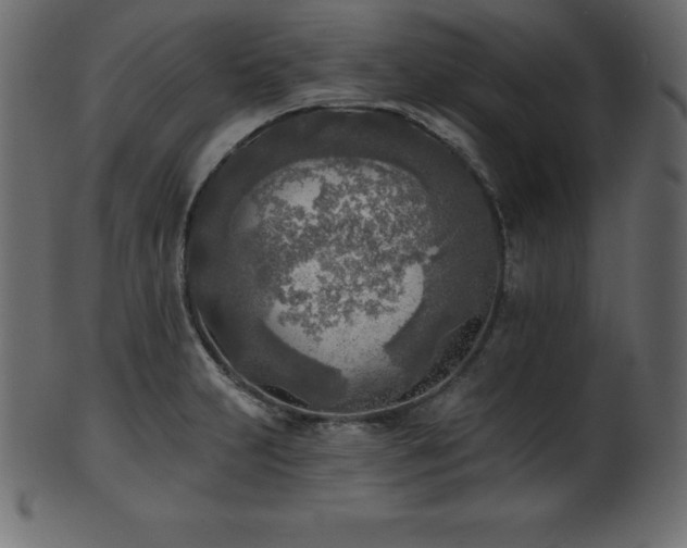 X0000102021231200807181319