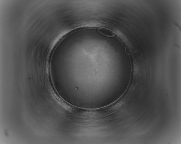 X0000102021232200807181319