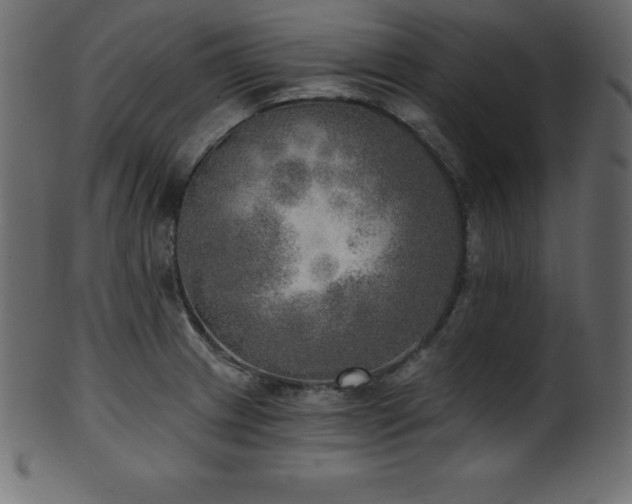 X0000102021233200807181319