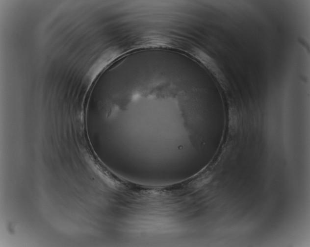 X0000102021234200807181319