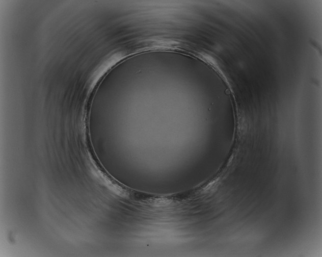 X0000102021235200807181319