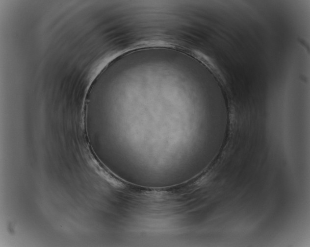 X0000102021236200807181319