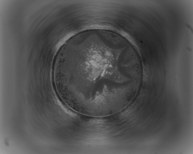 X0000102021237200807181319