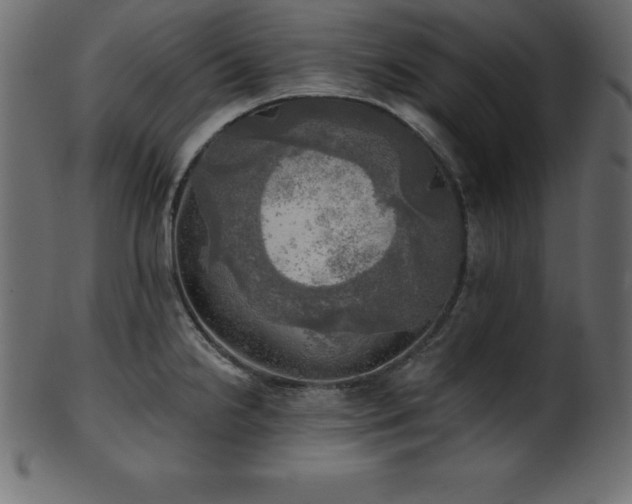X0000102021238200807181319