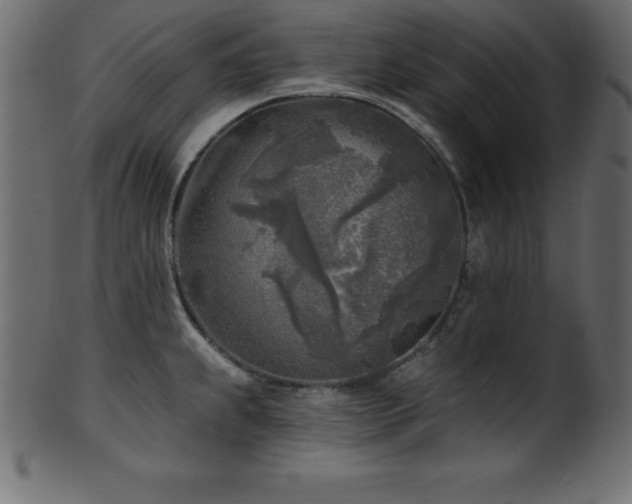 X0000102021239200807181319