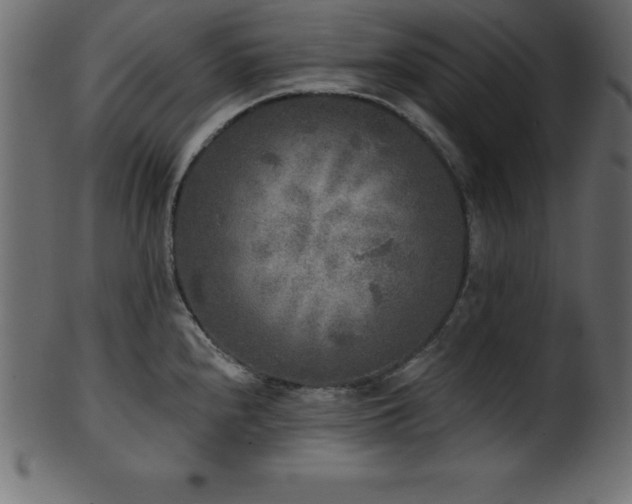 X0000102021240200807181319