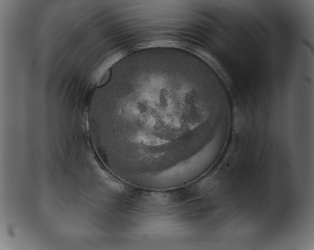 X0000102021241200807181319