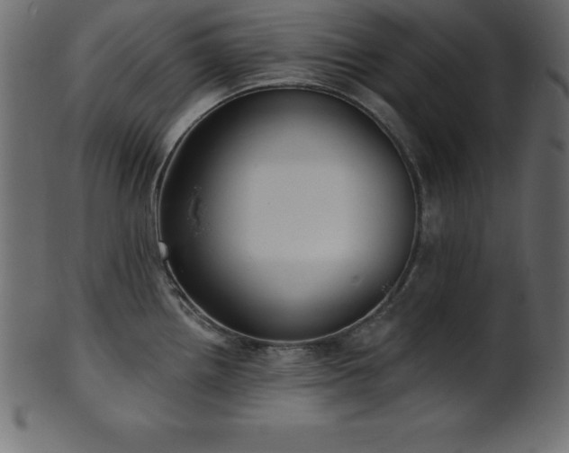 X0000102021242200807181319